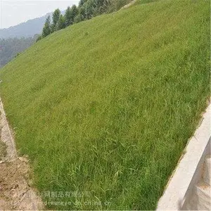 ������ɽ����ʩ�� �����̻��罬�������� �����������罬�۸�