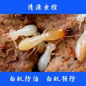 ������Դ��ؽ�������װ�޺õķ��Ӻ��¼Ҿ���ν��а���Ԥ����