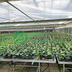 航迪品牌 移动苗床生产商 生产各规格尺寸温室大棚苗床