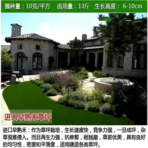 六安绿化草坪种子出售