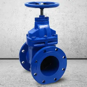 ���˵�������բ�� Z45T-10/16 DN150 �ֶ���ī�����������ܷ���ˮ��