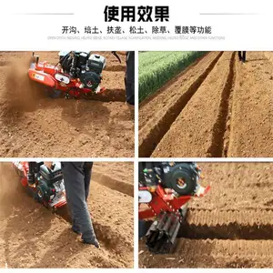 �ַ�ʽ΢���� ���ʩ�ʿ����� ������԰������