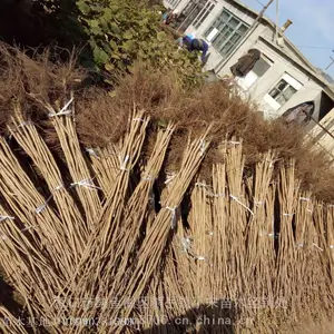 �����ض����������_����***�ӽ��������_С�β����ߴ������۸�