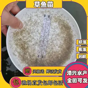 �������ˮ���� ���۲������� ����6-8���ײ����� ȫ���ɻ�***��������