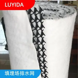 填埋封场 河北复合三维排水网厂家 6mm复合三维排水网 可靠厂家
