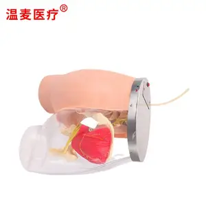 ����ҽ�� ***�β�����ע�估͸���Ա�ģ�� �����ṹ ��Ѫ��ϵͳ