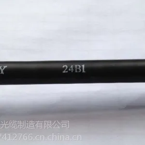 ����GYXTW-8B1��������ʽ���³���