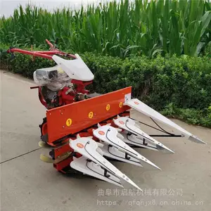 ������е����ʽ�����ո��- ˮ���¿��ɹ��_ ����ҩ���ո���ͺ�