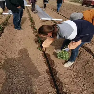 ������ܲ�ˮ��һ�廯�ι�ϵͳ��ƹ滮����