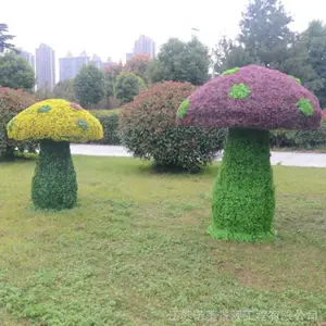 �����Ͼ�Ģ��������ֲ���� �̵���Ʒ�ڼ� ŵ������