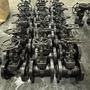 Z41Y-150LB DN15 ����͸ַ���բ�� �͸�ѹ����բ����ѹШʽֹ�ط�