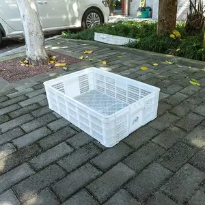 �����ϴ��������� �Ӻ�YP����600-175��ʳƷ��ת�������Ͽ�