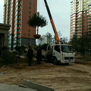 �ó�����һ�������泵�� �泵�������䳵�۸����Ͷ���ٻر���