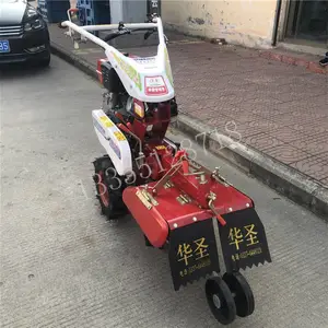С�Ͷ๦�ܻƽ������� �߲˲�ݮ������¢�� ����Ĥ������