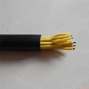 �������ε���YJVP