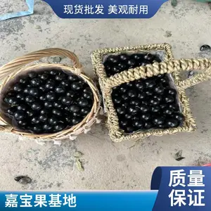 �α����� �䱦�� ����ֱ�� ũ����ֲ�������� ȫ������