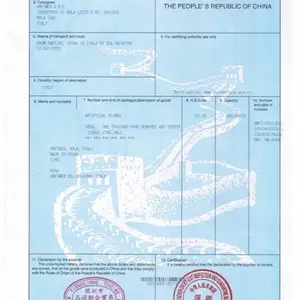 请问贸促会CO出错了,可以更改吗?费用高不高?
