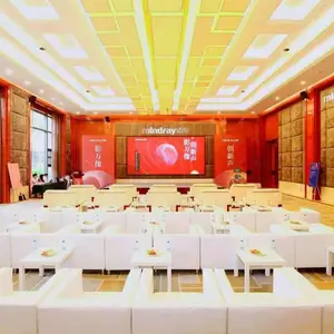 广州本地的活动公司灯光音响价格报价,led显示屏多少钱一平方?背景板价格一般多少钱?