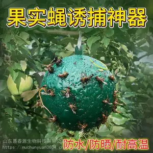 ������Ӭ�� ��Ӭ��ճӬ�� ���ʵӬ�� Ľ��Դ