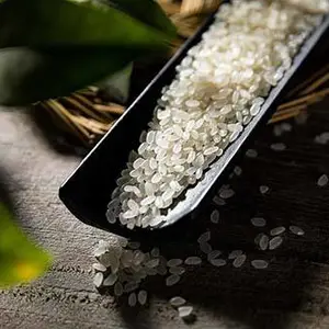 玉溪大米-西双版纳乐源农业公司-大米生产公司