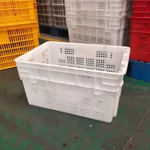 ���������Ͽ�-⨺��ҿ𡢴����𡢲;�������ת��