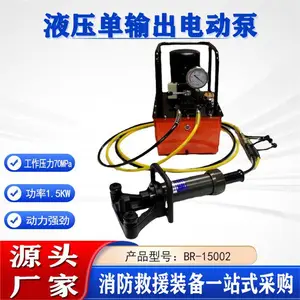 ������Ԯ���ͻ�����BR-15002 Һѹ������綯�����վ��ָ�ѹ�ͱ�