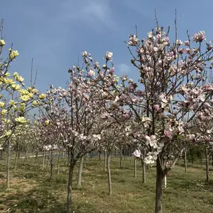 ��Ӧ��Ʒ�־�Ʒ������������������������������