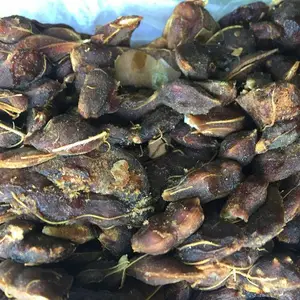 彝山香长期批发去壳酸酸角果肉散装25KG酸角汁原料