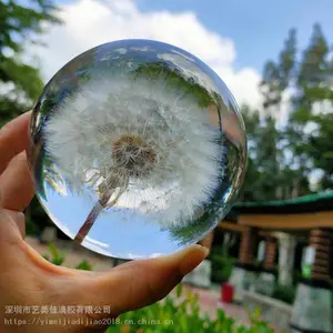 永生花蒲公英水晶球植物标本水晶球八音盒小夜灯告白礼物创意