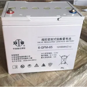双登蓄电池6-GFM-65伏电瓶2V3000AH 12V65AH