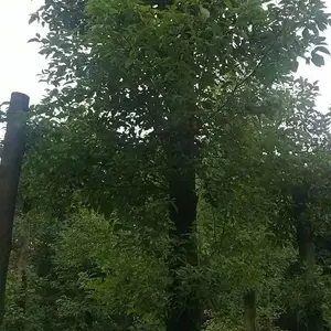 �������أ�ȫ���������ظ�������������������