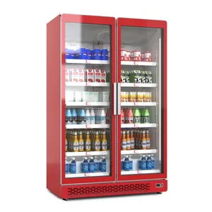 摩雪饮料柜网红酒水展示柜冷藏保鲜柜啤酒柜双门商用冰柜出口冷柜