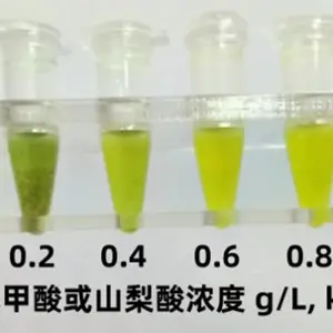 预制菜防腐剂苯甲酸速测盒10次/盒