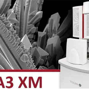 TESCAN 场发射高分辨率扫面电镜 MIRA 3系列