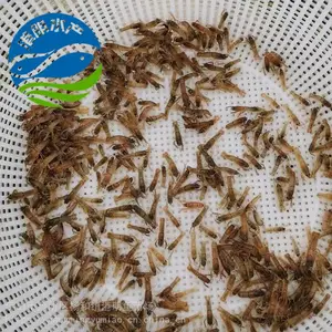 �ʻ���ֳ ����������ˮ��Ϻ�� ������װ���� С��Ϻ��