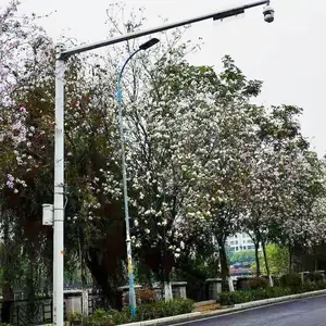 ���Ƕ��Ƹ߸˵ơ�̫����·�ơ���Ƶ��ظˡ���ͨ��־�źŵ�