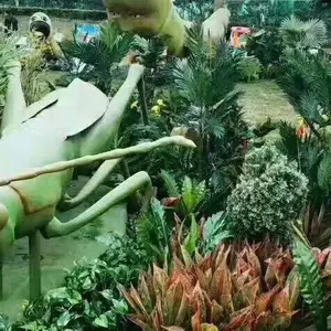 �����㻨չ����õ�廨չ�������������滨��������