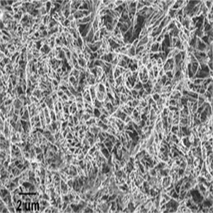 ��Ӧ ����þ������ ����þ������ 300nm *** 1g ���ȣ� 100um