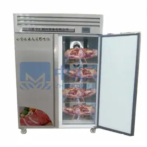 全自动低温高湿静电解冻机 冷冻牛羊肉缓化机 冻肉缓化保鲜柜