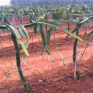 ���ݿ��ٹ���豸΢��ͷɽ�ظ�����