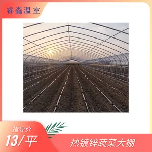 种植棚 日光温室 插地冷棚