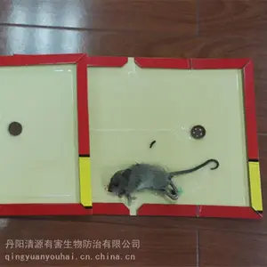 ��Դ���С�����������β���������������