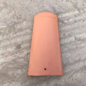 山东蒙阴西班牙瓦