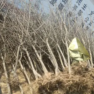 ����ƻ������ �̸�0��ƻ����۸� ��������