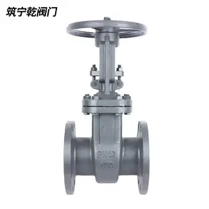 ����Ǭ ����բ�� Z41-16C ����̼��բ�� dn100 ����