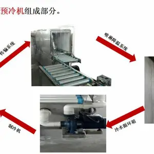 烟台樱桃预冷分级机 樱桃选果机厂家