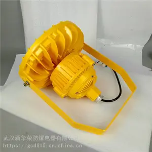 华荣 制药厂LED防爆灯40w 炼化厂LED防爆灯20w 欢迎致电