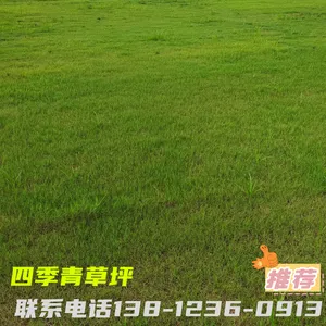 ��Ӧ�첥��ƺ �ļ����Ƥ ��԰�����̻����̲�ƺ