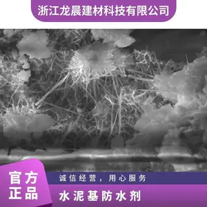 龙晨结构自防水材料防水剂快速修复防水防霉水泥基自愈合防水剂