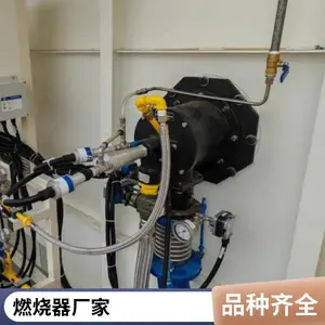 岱鼎燃烧水套炉废酸焚烧炉转炉煤气天然气烧嘴燃烧系统源头厂家